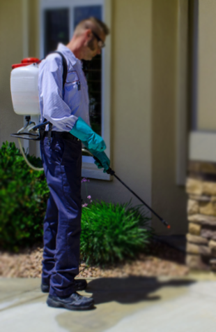Residential Pest Control service